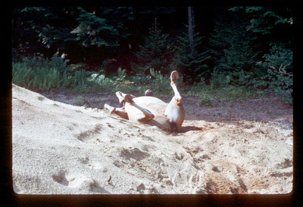 Slide903.jpg